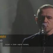 Дельфин Mtv Unplugged