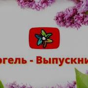 Фогель Выпускник Минус