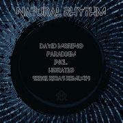 Paradigm Original Mix David Moreno