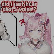 Shotacon Asmr