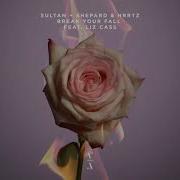 Sultan Shepard Hrrtz Break Your Fall Feat Liz Cass