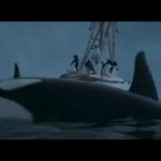 Tf2 Dub Killer Whales