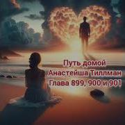Путь Домой Анастейша Тиллман Глава 899