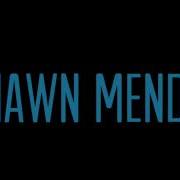 Senorita Shawn Mendes High Pitch