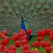Просто Невероятная Музыка