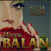 Игорь Balan Роза Моя