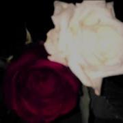 I Live My Boyfriend Slowed