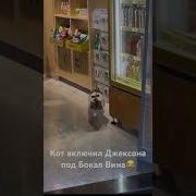 Музыка Под Бокал