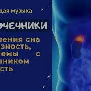 Интересно И Позновательно Сосуды И Капилляры