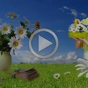 Ромашки Для Наташки С Днем Рождения