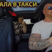Добрый Здравствуйте