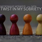 Microware Monkeys Nita