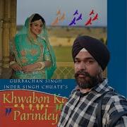 Khwabon Ke Parindey Gurbachan Singh Inder Singh Chuate Instrumental