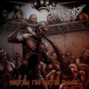 Turbidity Full Slbums L