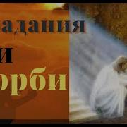 Почему Бог Попускает Чтобы Праведные Люди Терпели Болезни