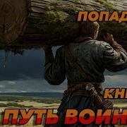 Путь Воина 3Попаданец Аудикнига
