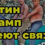 Путин И Трамп Имеют Связь