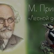 Лесной Доктор