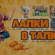 Котики Мур Котики