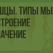 Биология 8 Класс Колесов 8