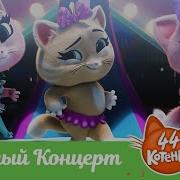 Котёнка Веселый Концерт Песня Видеоклип
