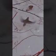 Ну Вот И Всё Алексей Новиков