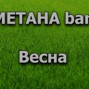 Πizдабол Сметана Band Midi