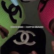 Cochis Hatchback Slowed