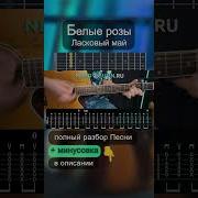 Ласковый Май Белые Розы Cover На Гитаре