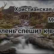 Как Олень Спешит К Воде