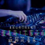 03 13 新二神曲 小鸟伏特加 雷霆嘎巴 无情哈了哨 Dj