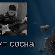 Стоит Сосна Девушка Поет