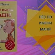 Аудио Книга Пес По Имени Мани