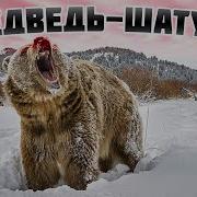 Медведь Шатун Истории