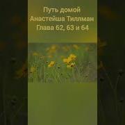 Путь Домой Анастейша Глава 1905 Mp3