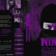 Ninja In The Dragons Den Theme