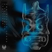 Stimulant X Bruce Zalcer Remix Xenia Ua