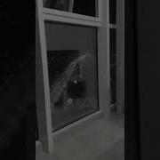 Ас Лехна Ирс Ду Хьо Полная Вермия