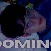 Skz Domino 8D