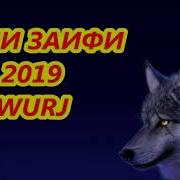 Саши Заифи 2019 Mp3