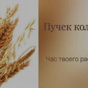 Час Твоего Рассказа