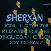 Musofirda Yurganlarni O Zing Asragin