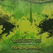 Erva Da Jamaica