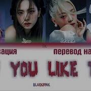 Blackpink Как Тебе План