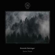 Dominik Gehringer Dark Street