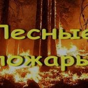 Песни Лесных Пожарных