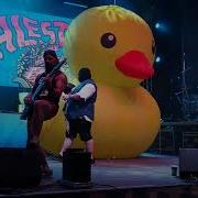 Alestorm Party Live