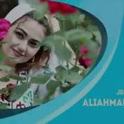 Алики Кулоби Чонум Занакай