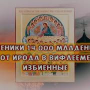 Акафист Мученики 14 000 Младенцев От Ирода В Вифлееме Избиенные