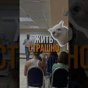 Когда Над Страной Сгущаются
